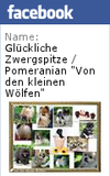 facebook-seitenbanner2-1