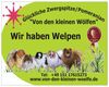 wir-haben-welpen